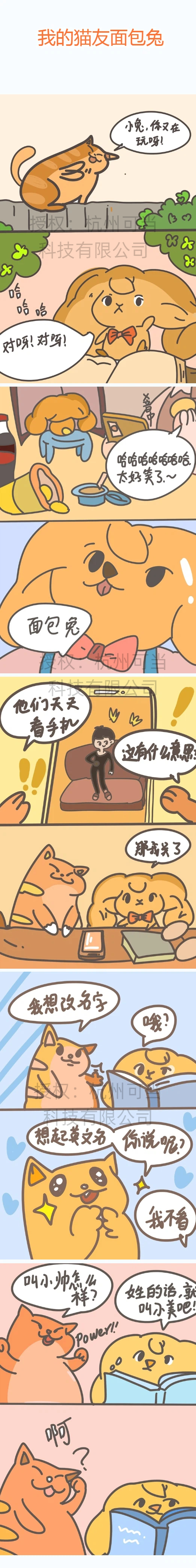 我的猫友面包兔.jpg